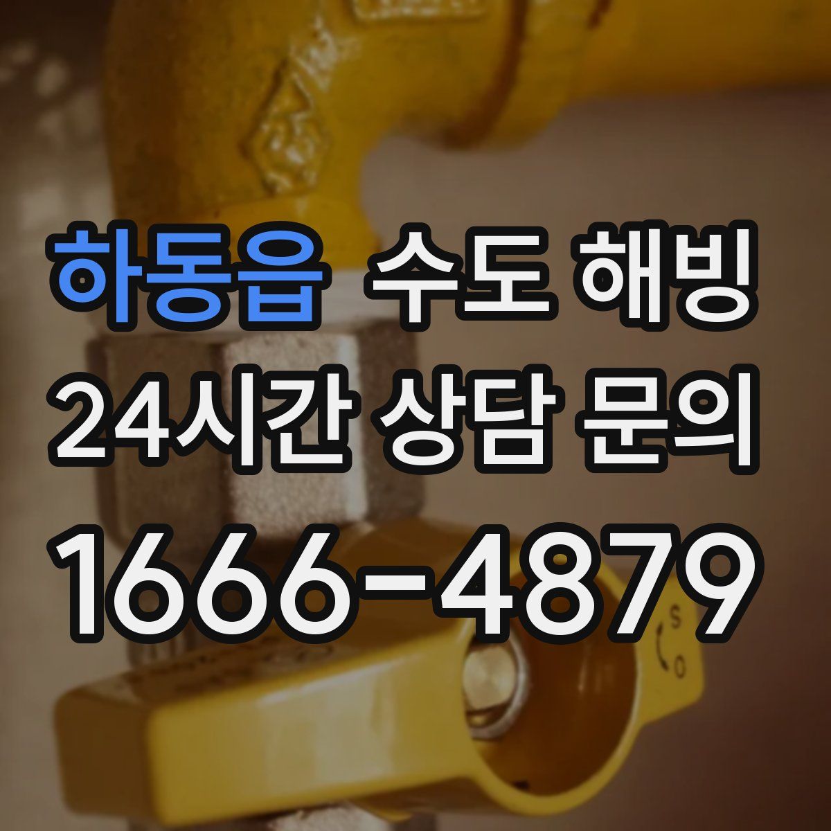 하동읍 수도 해빙