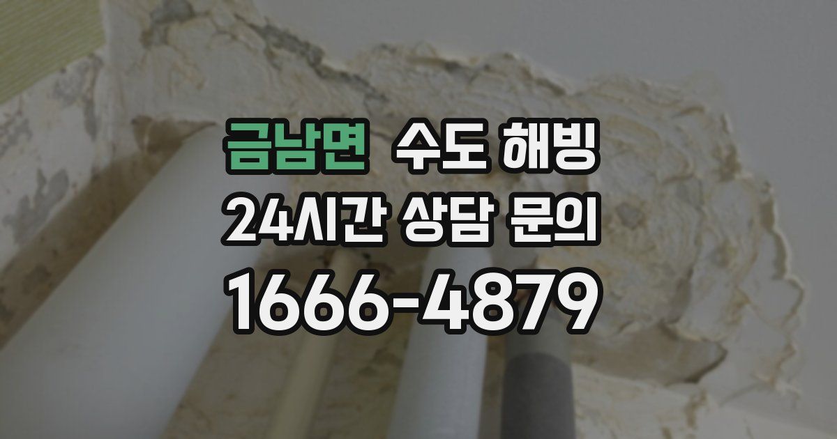 금남면 수도 해빙