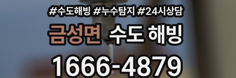 금성면 수도 해빙