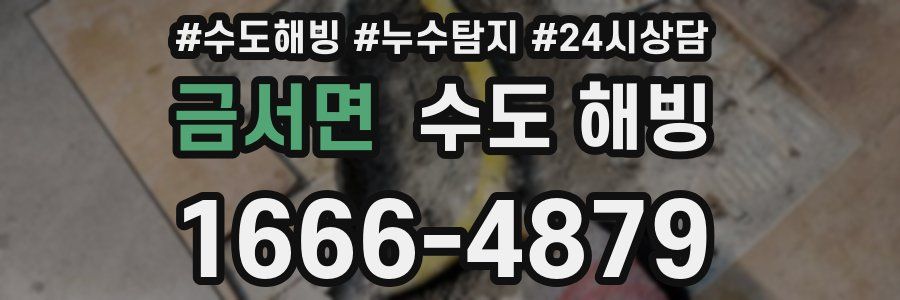 금서면 수도 해빙