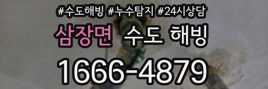 삼장면 수도 해빙