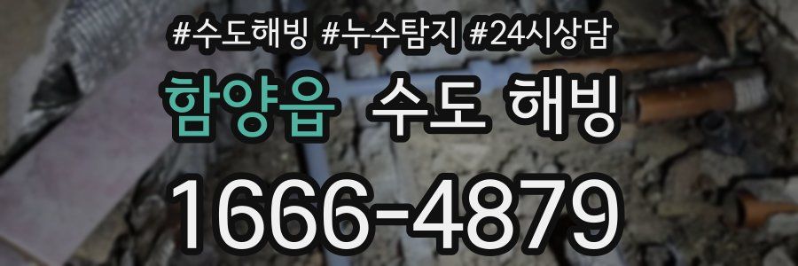 함양읍 수도 해빙