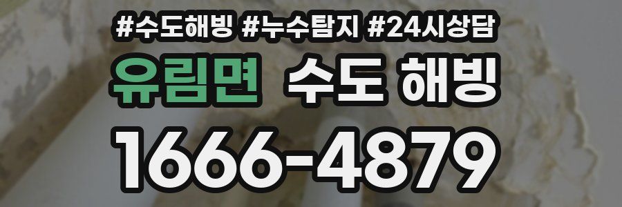 유림면 수도 해빙