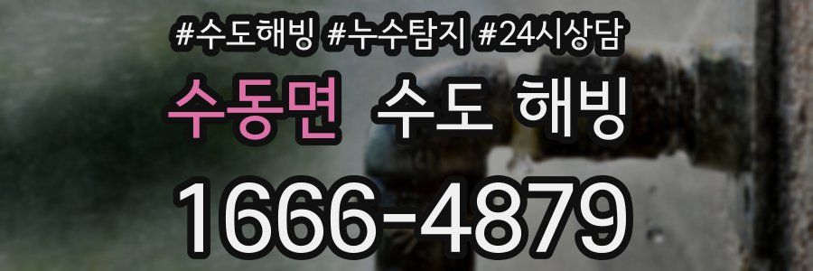 수동면 수도 해빙