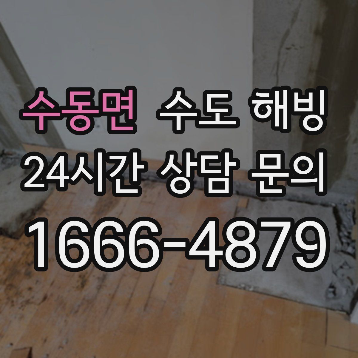 수동면 수도 해빙