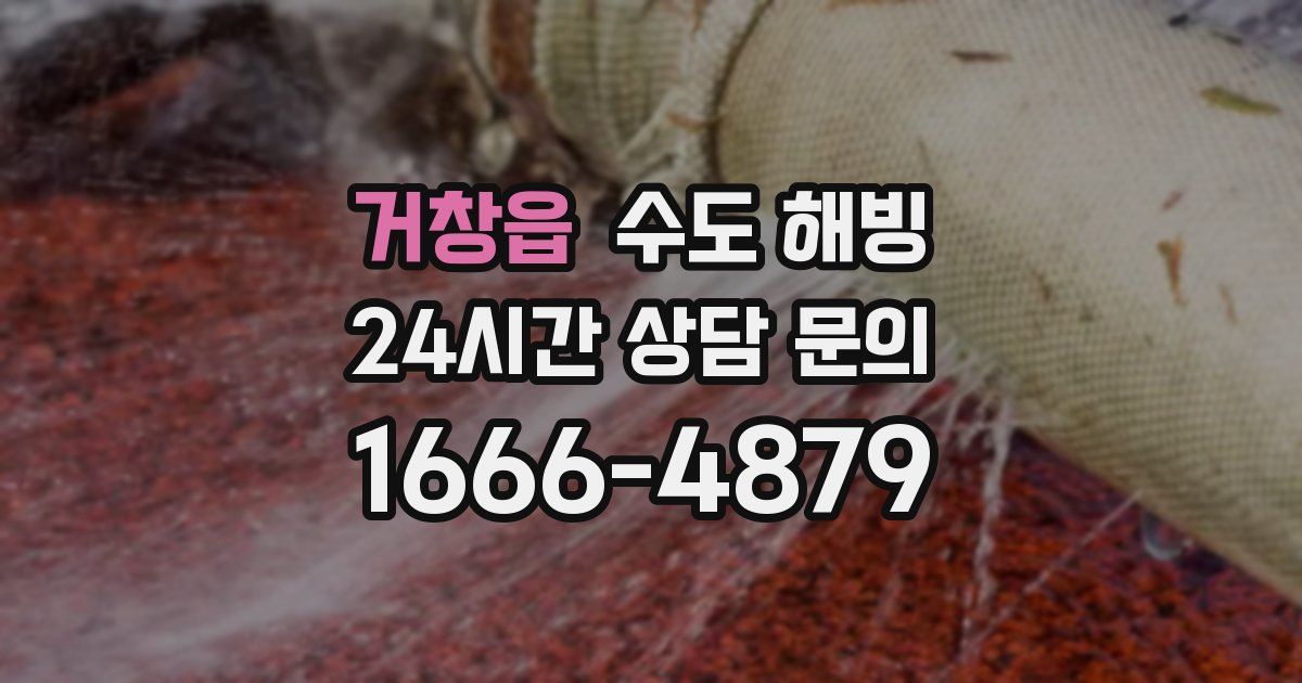 거창읍 수도 해빙