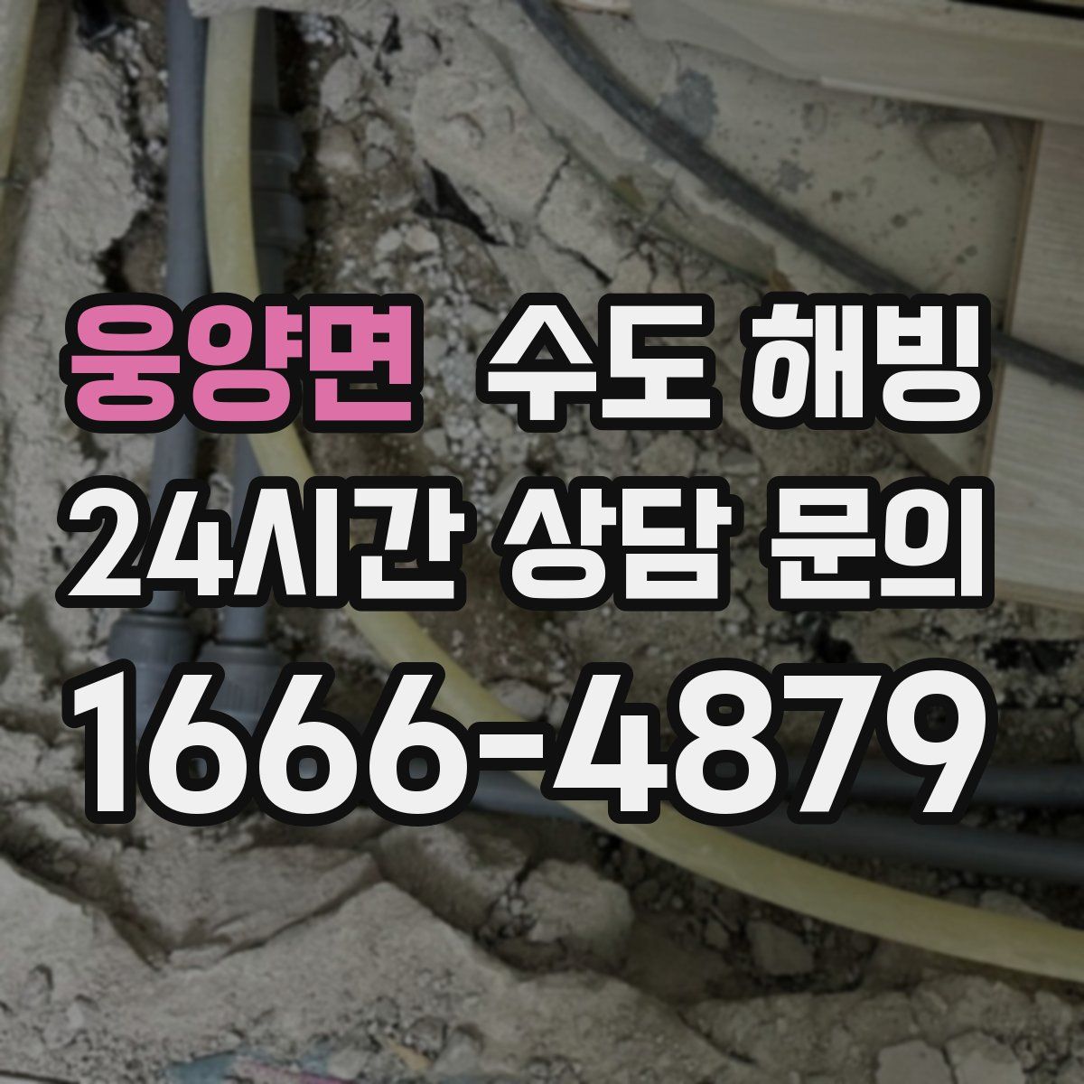 웅양면 수도 해빙