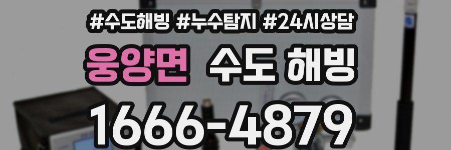 웅양면 수도 해빙