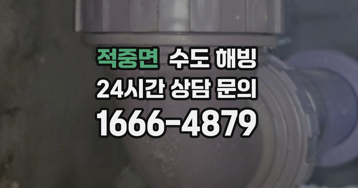 적중면 수도 해빙