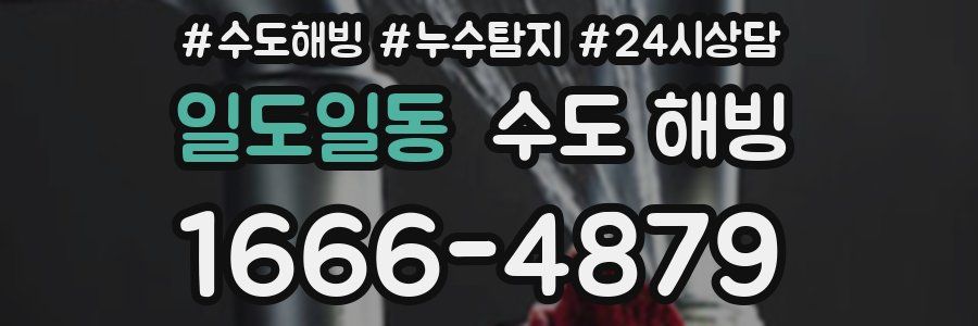 일도일동 수도 해빙