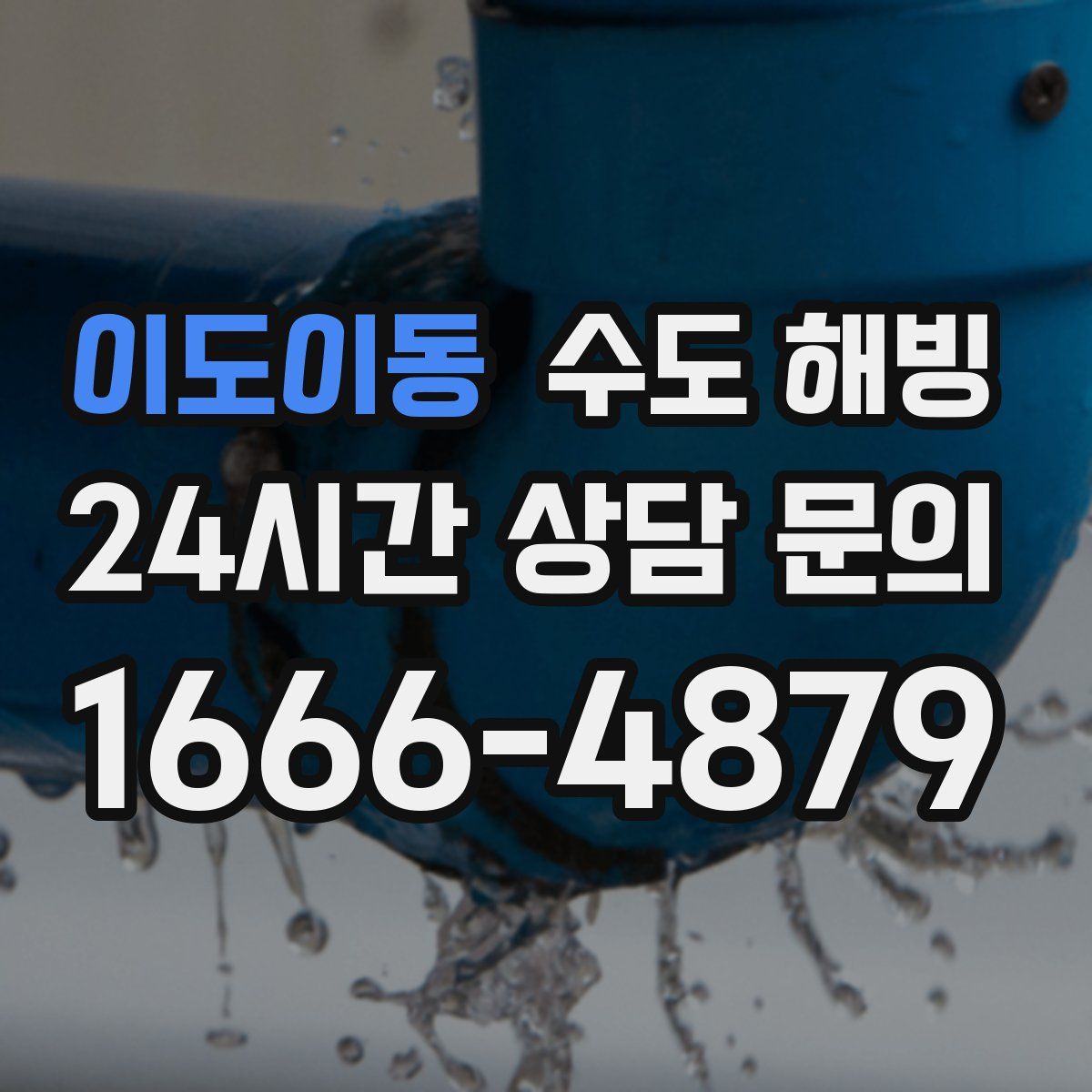 이도이동 수도 해빙