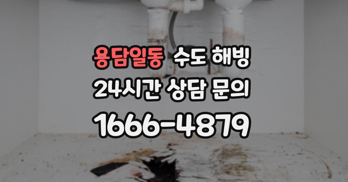 용담일동 수도 해빙