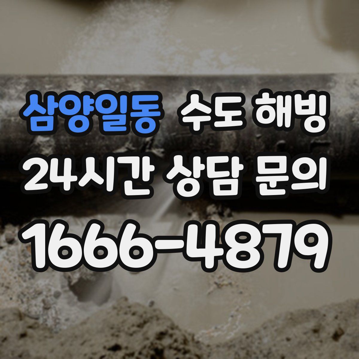 삼양일동 수도 해빙