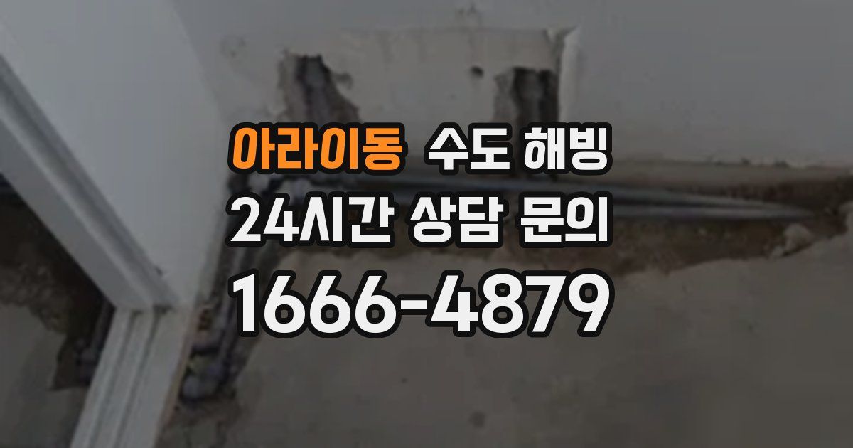 아라이동 수도 해빙