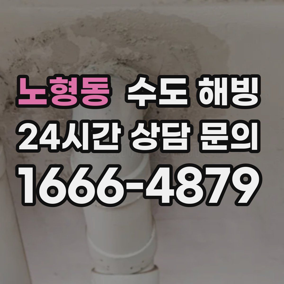 노형동 수도 해빙