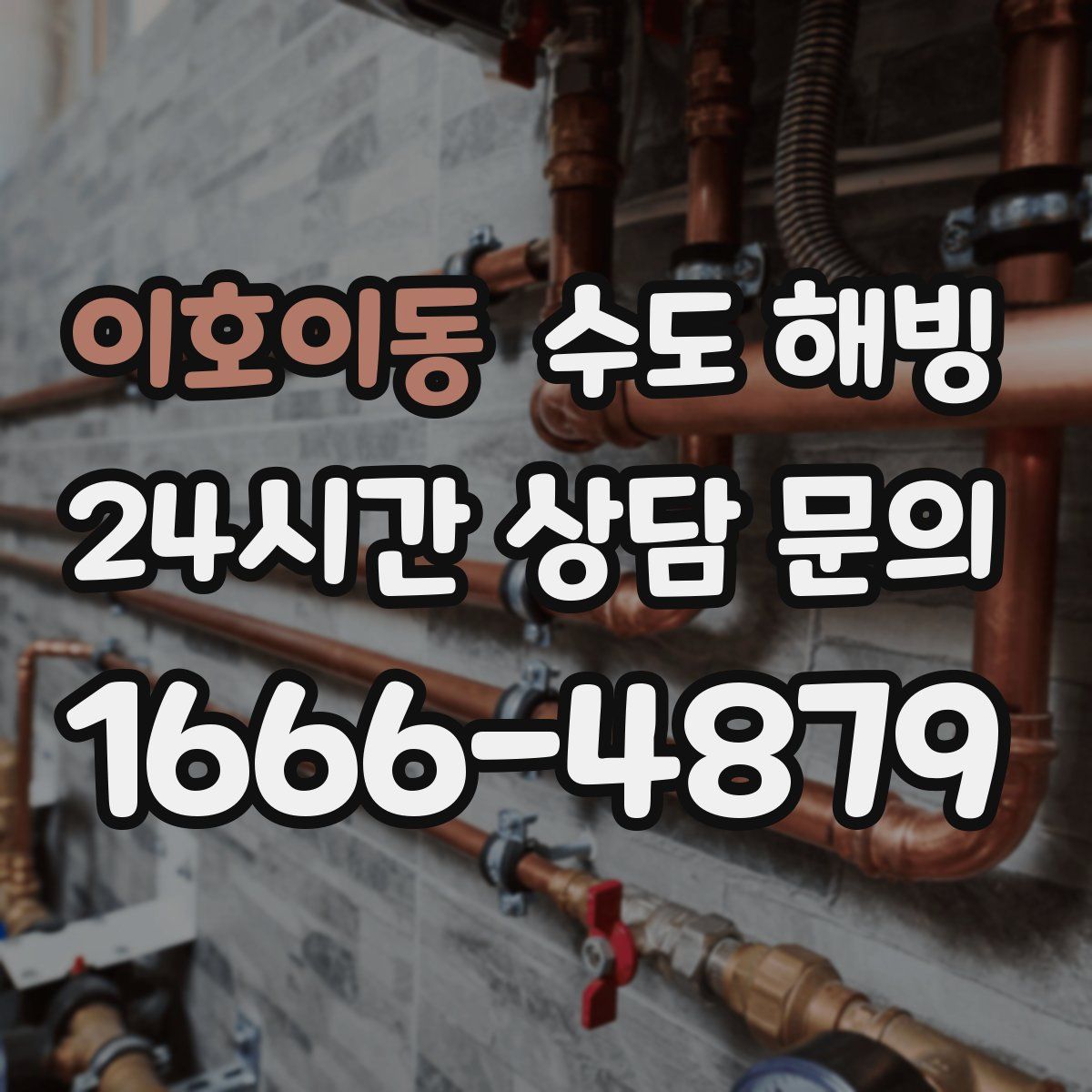 이호이동 수도 해빙