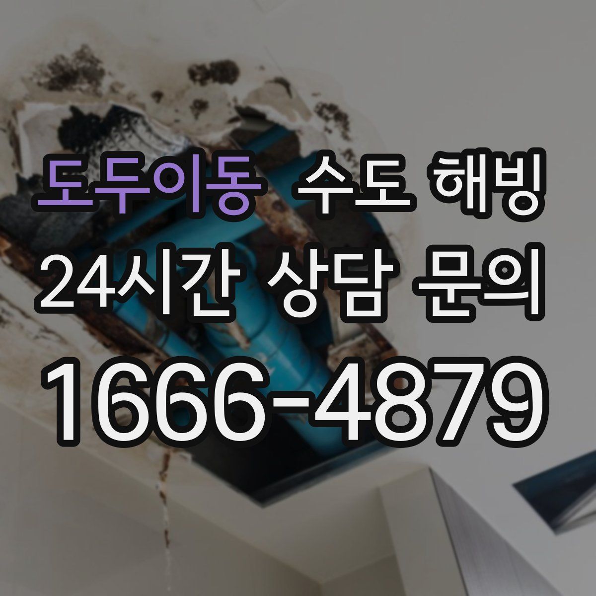 도두이동 수도 해빙