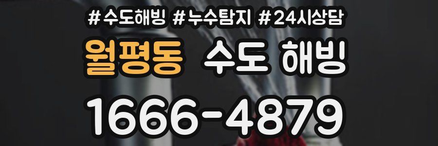 월평동 수도 해빙