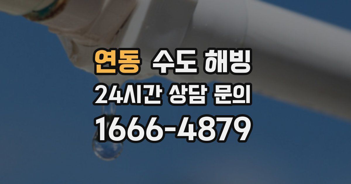 연동 수도 해빙