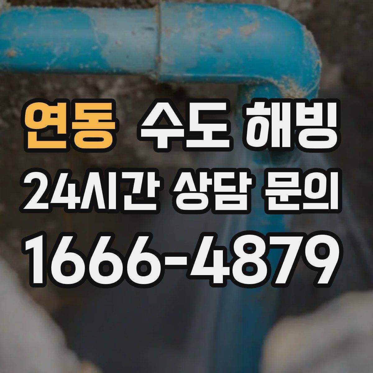 연동 수도 해빙