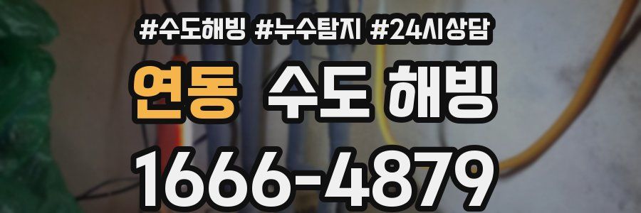 연동 수도 해빙