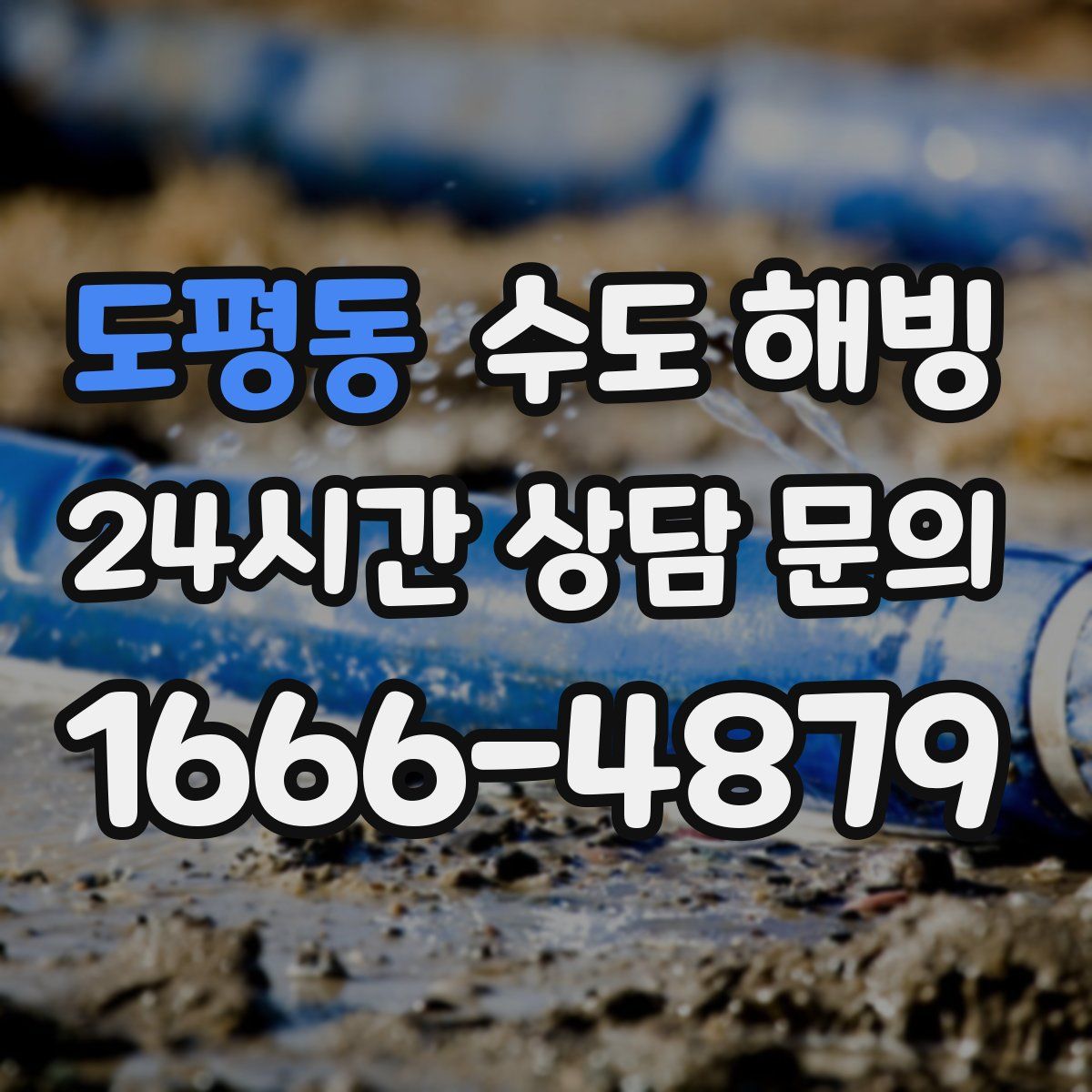 도평동 수도 해빙