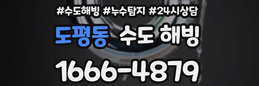 도평동 수도 해빙