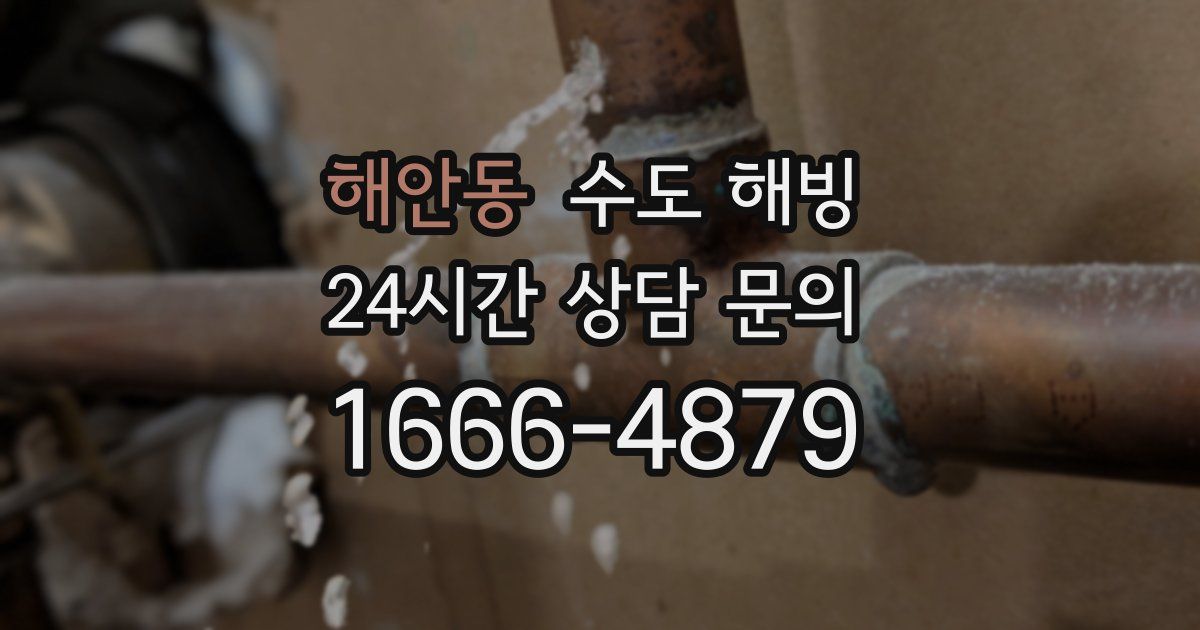 해안동 수도 해빙