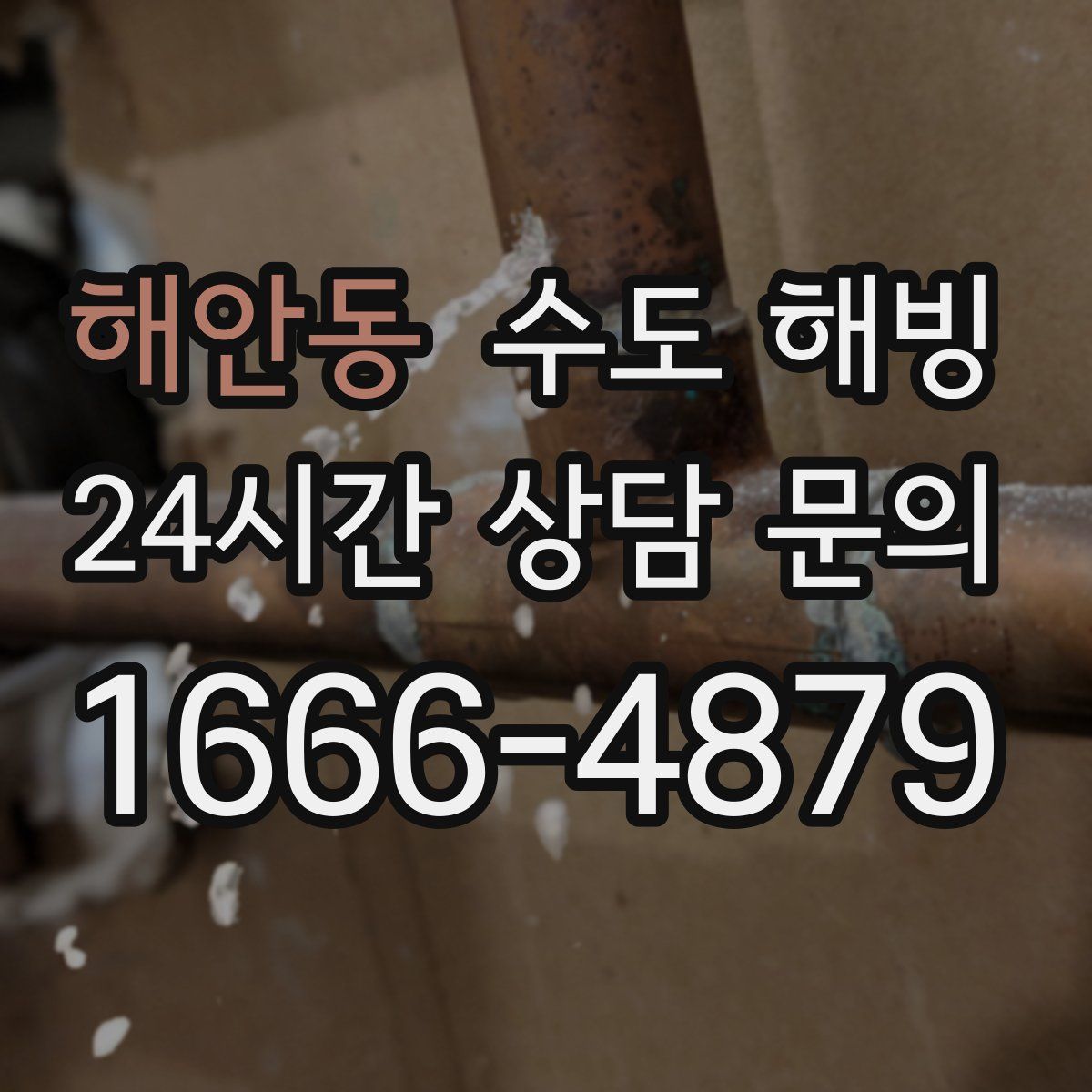 해안동 수도 해빙