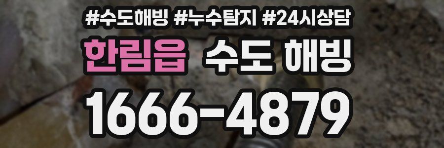 한림읍 수도 해빙