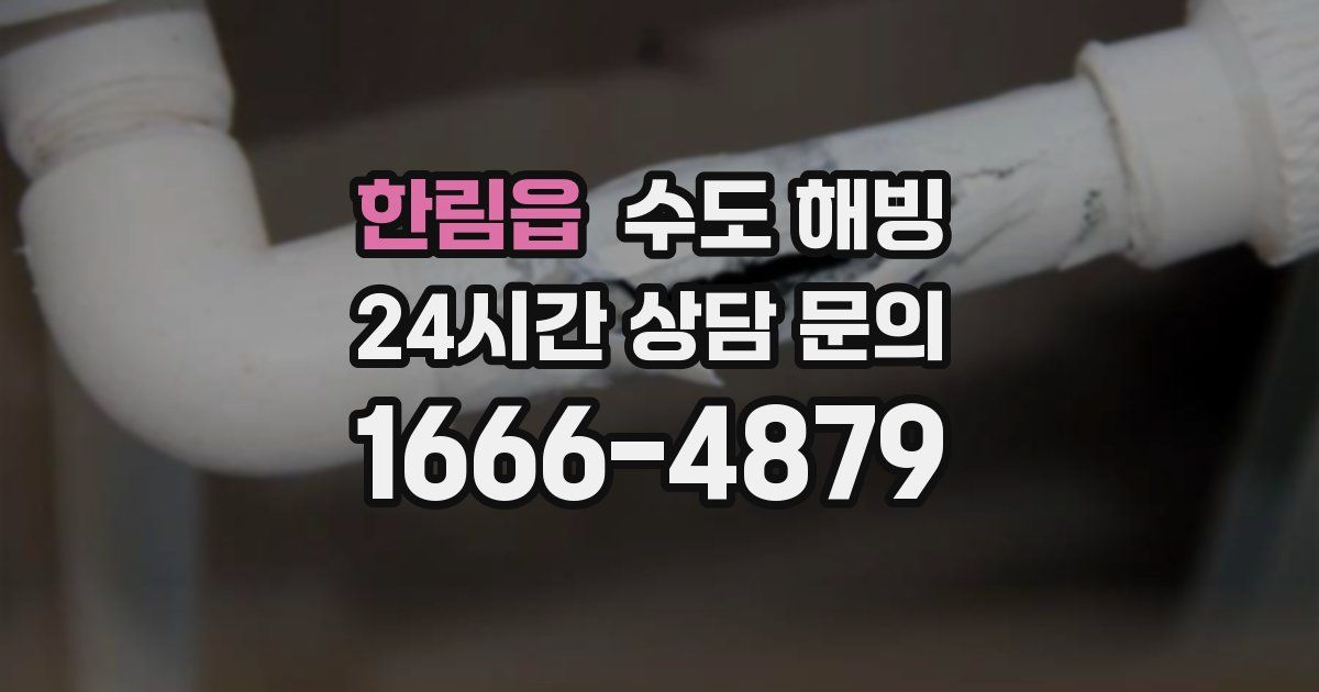 한림읍 수도 해빙