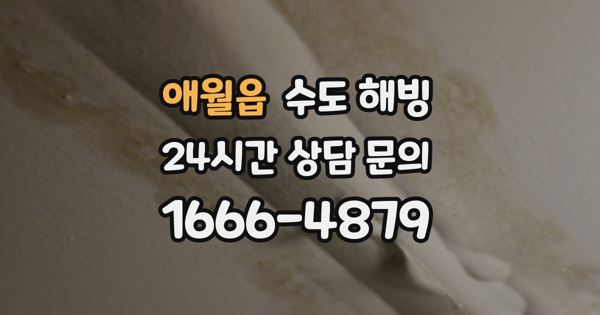 애월읍 수도 해빙