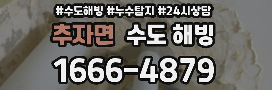 추자면 수도 해빙