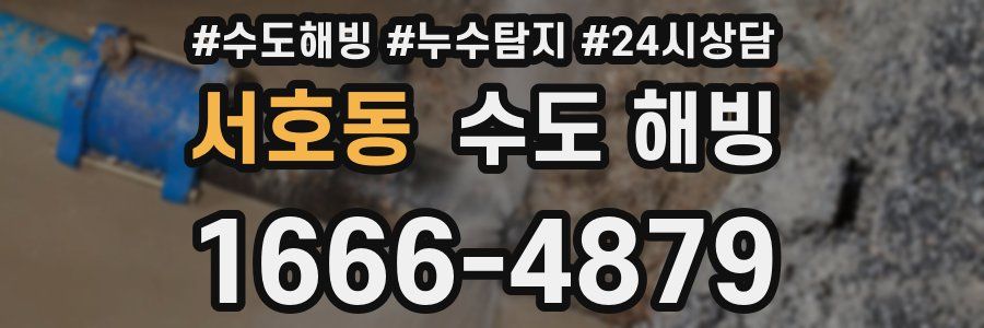 서호동 수도 해빙