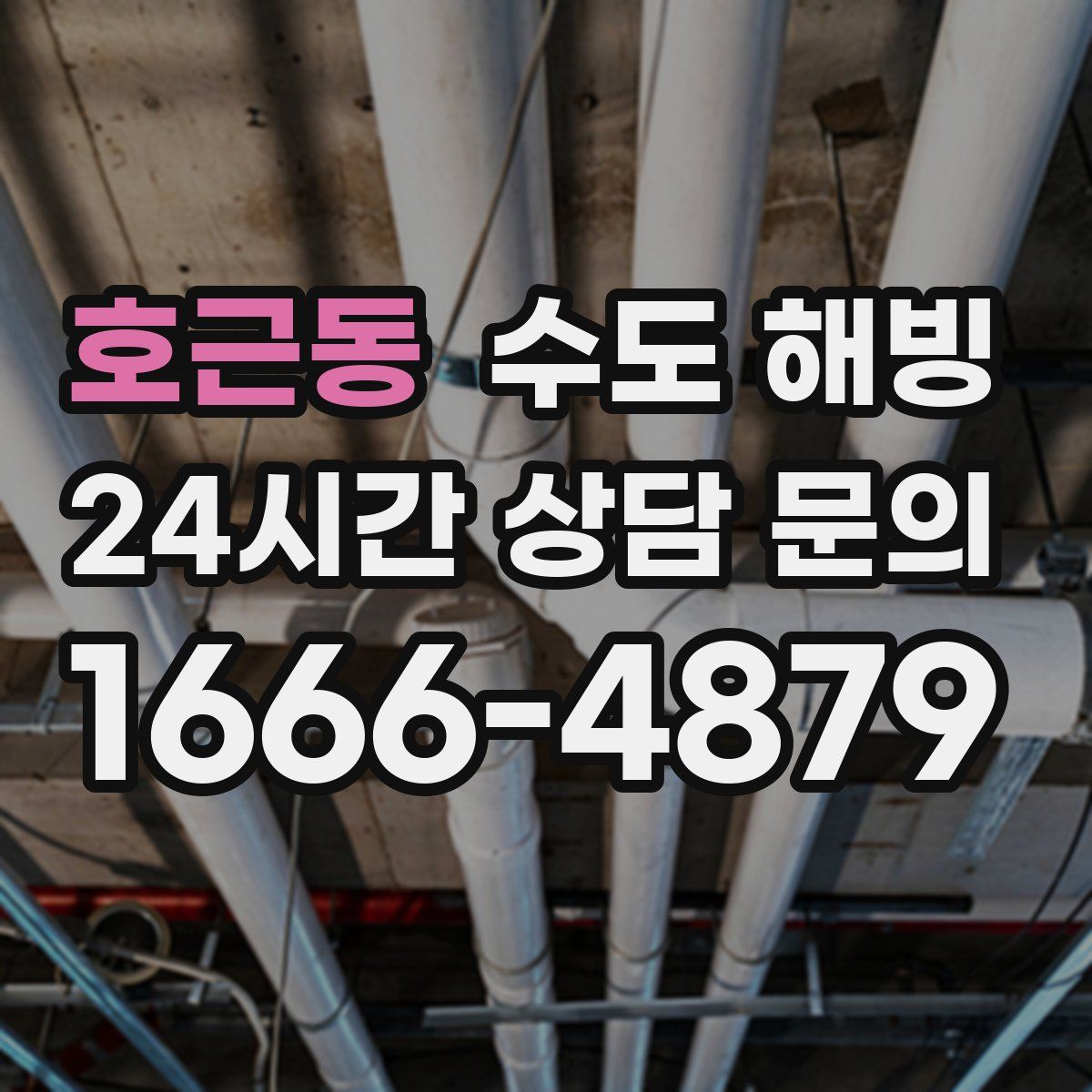 호근동 수도 해빙