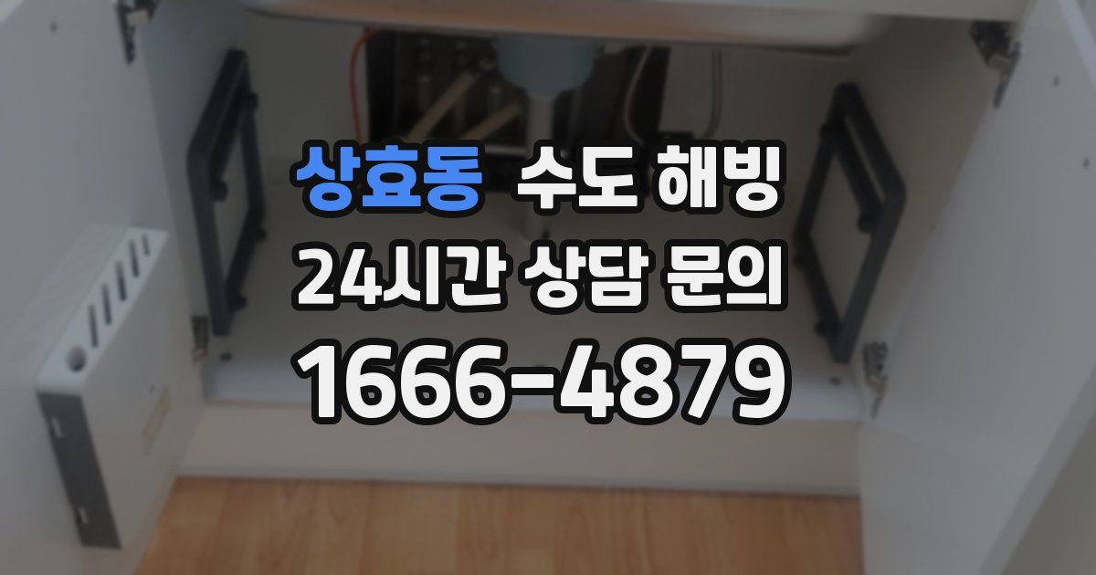 상효동 수도 해빙