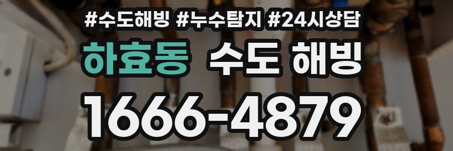 하효동 수도 해빙