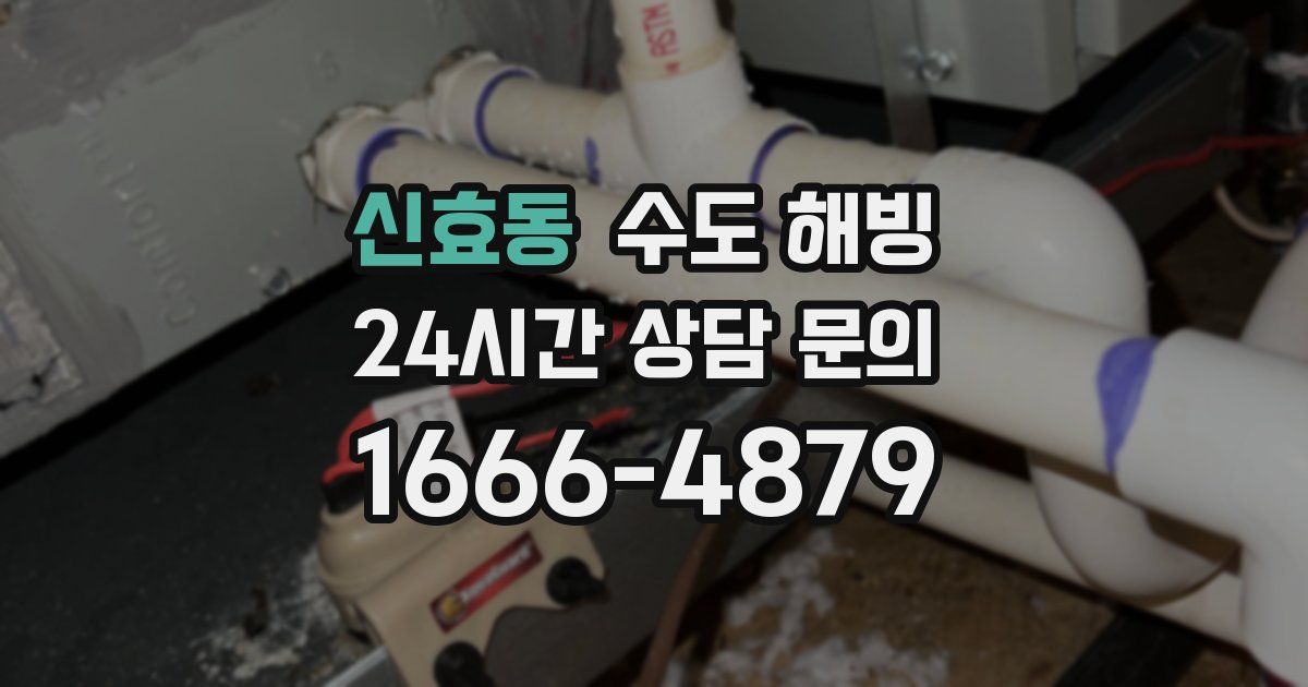 신효동 수도 해빙