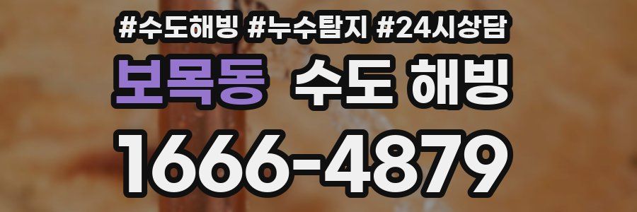 보목동 수도 해빙
