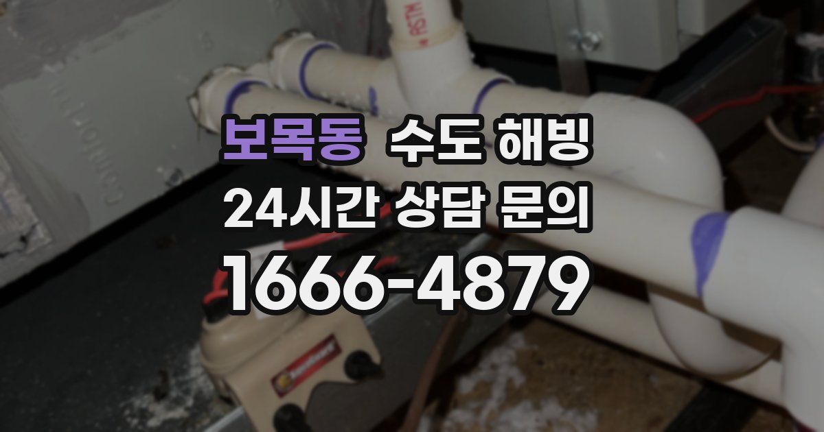 보목동 수도 해빙