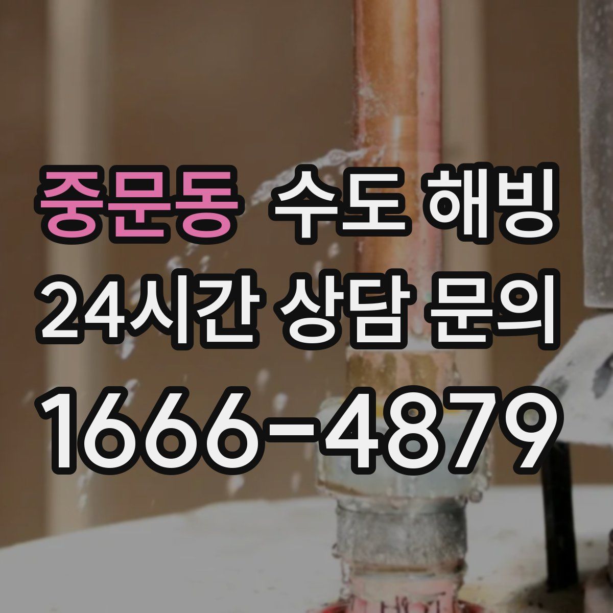 중문동 수도 해빙