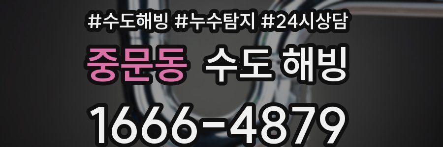 중문동 수도 해빙
