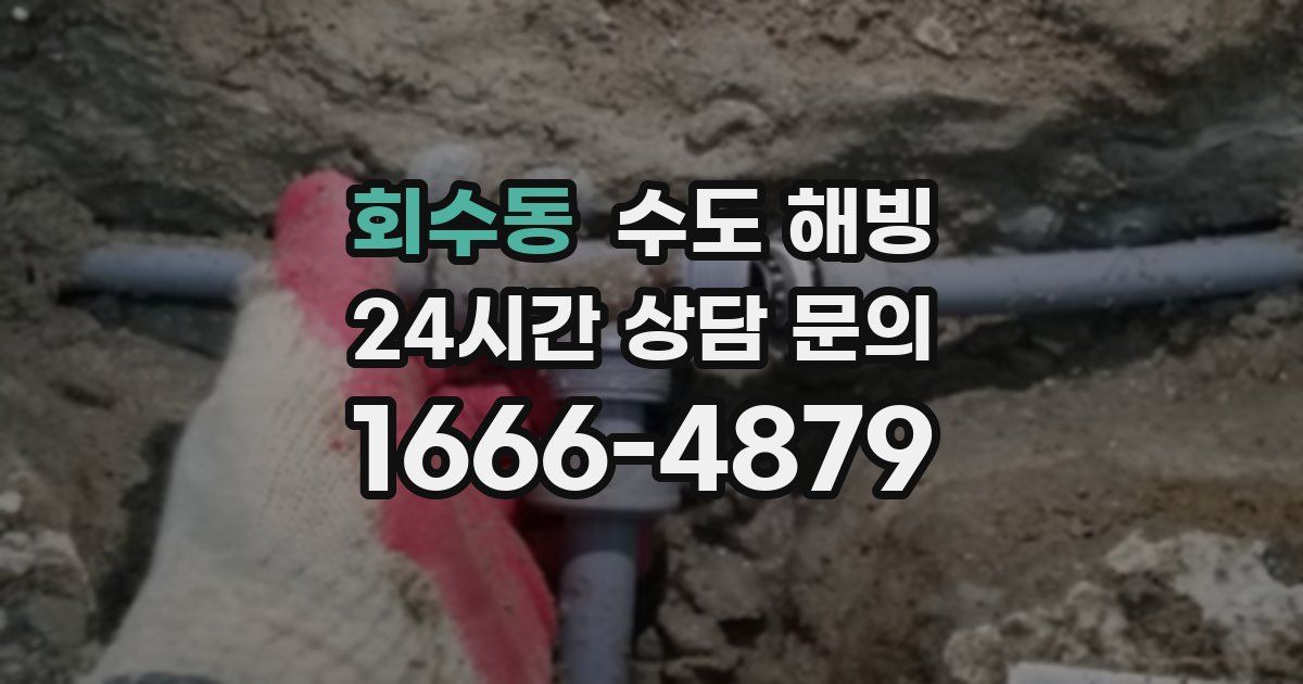 회수동 수도 해빙