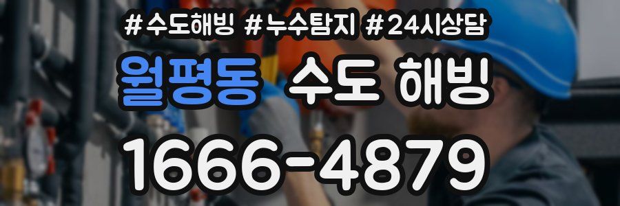 월평동 수도 해빙