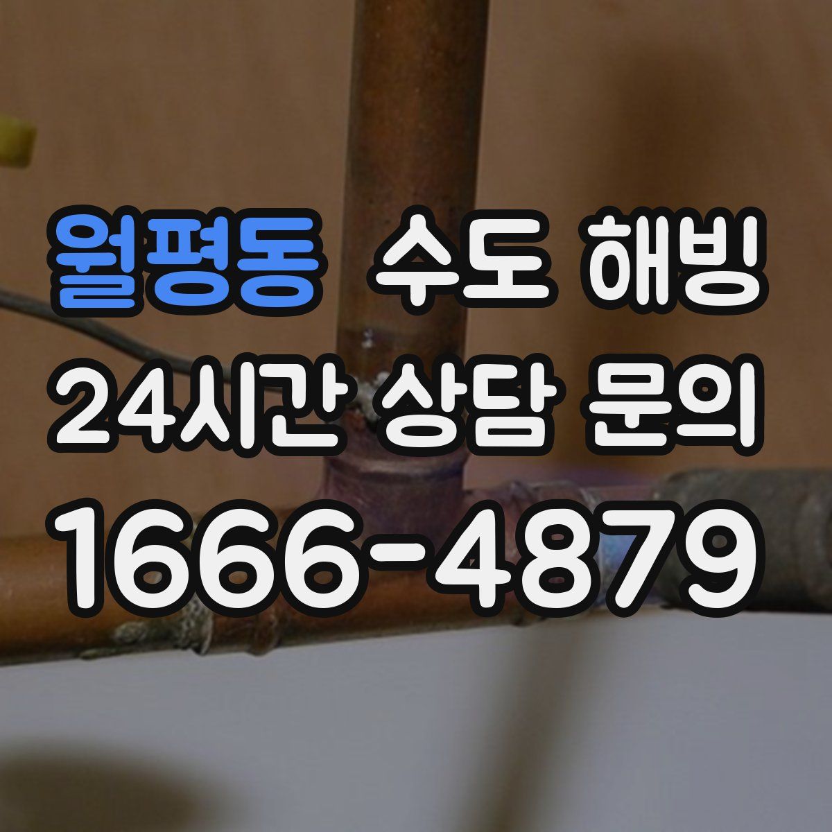 월평동 수도 해빙