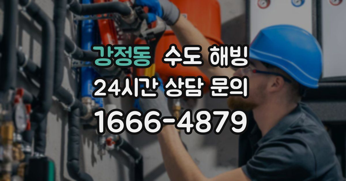 강정동 수도 해빙