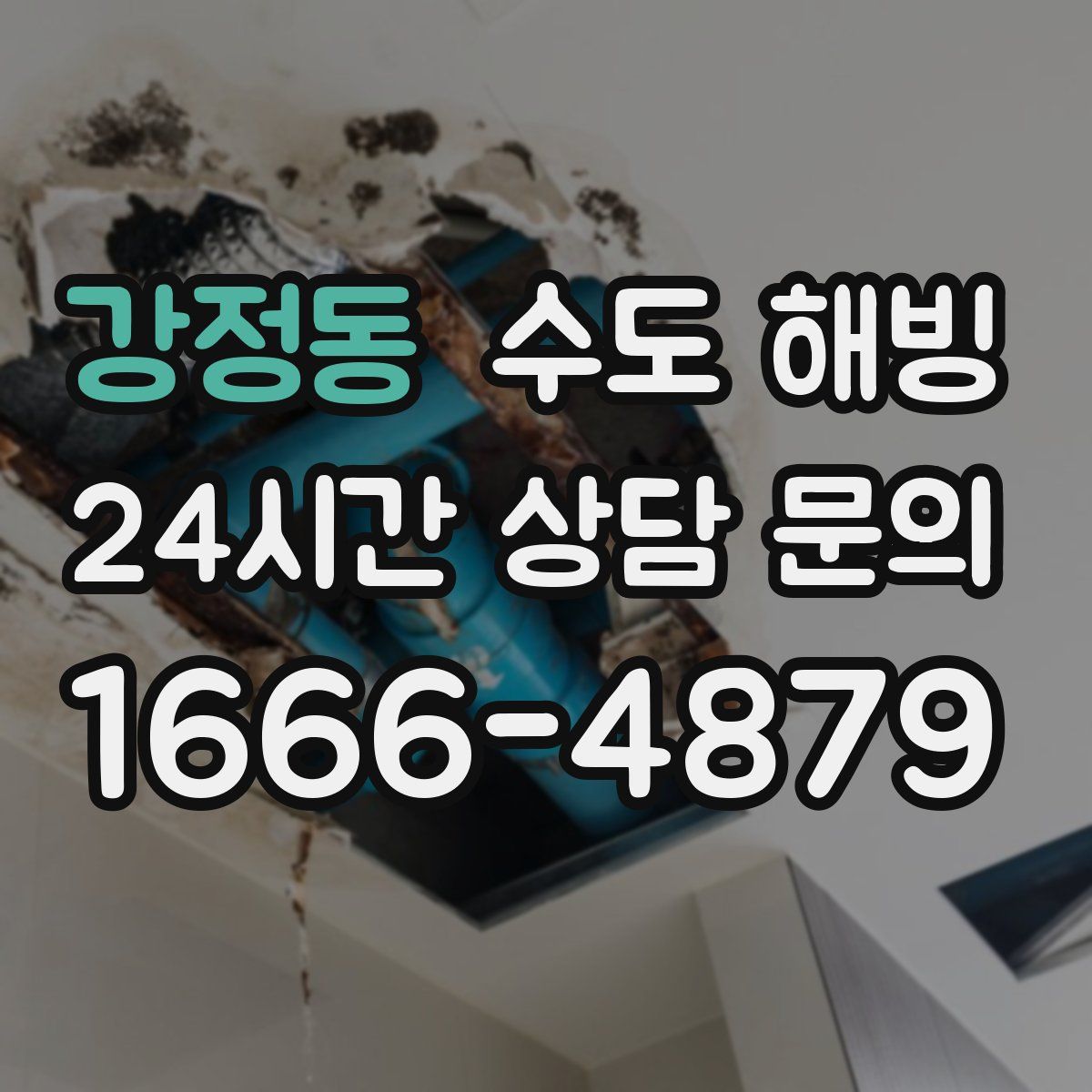 강정동 수도 해빙