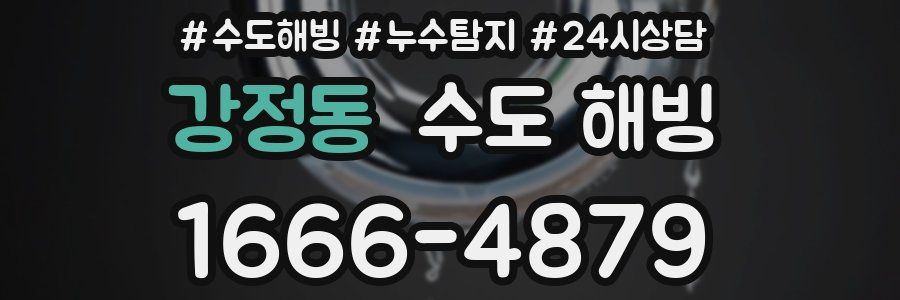 강정동 수도 해빙