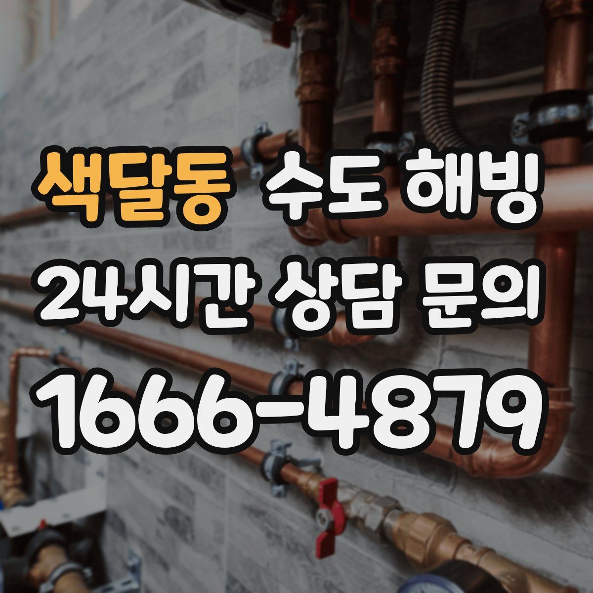 색달동 수도 해빙