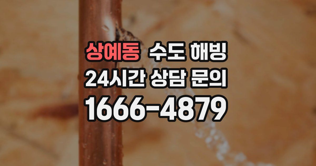 상예동 수도 해빙